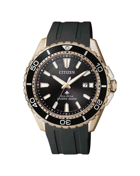 Citizen BN0193-17E